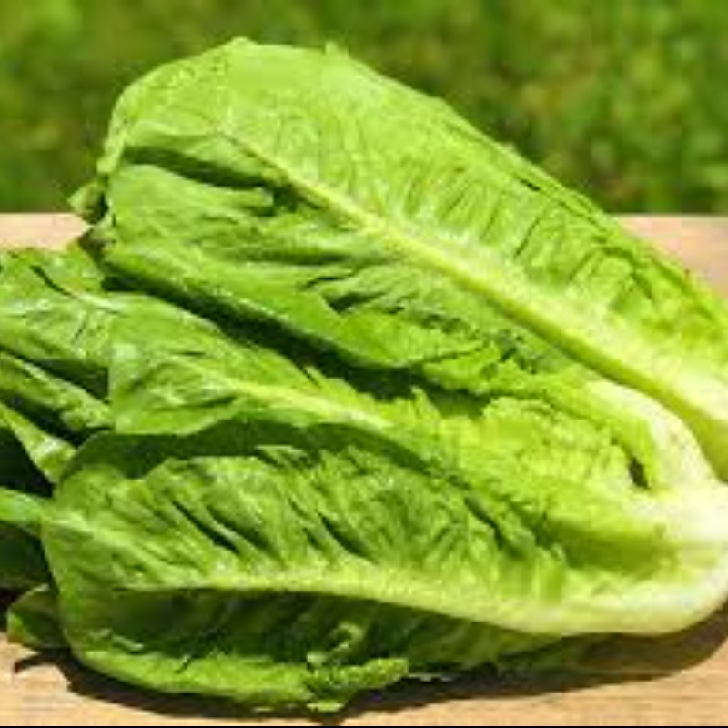 Thumb Image