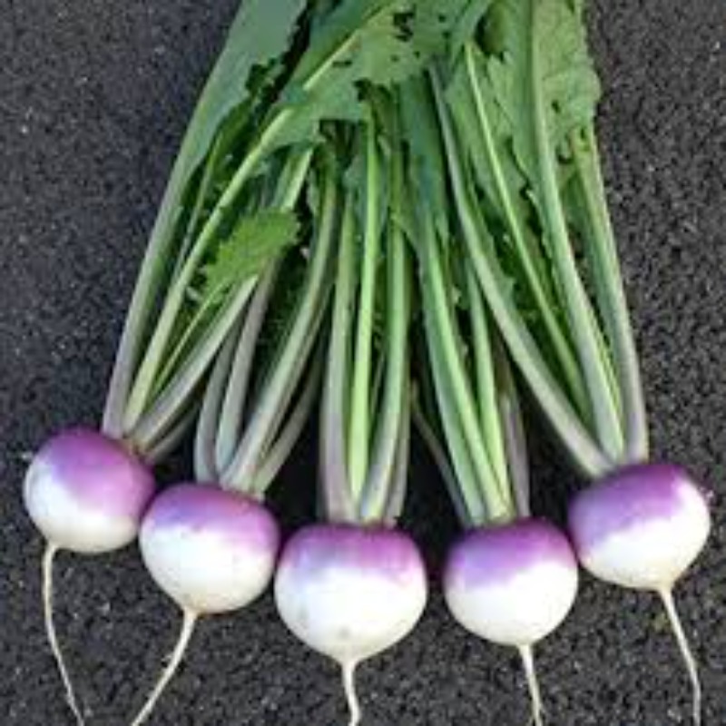 Thumb Image