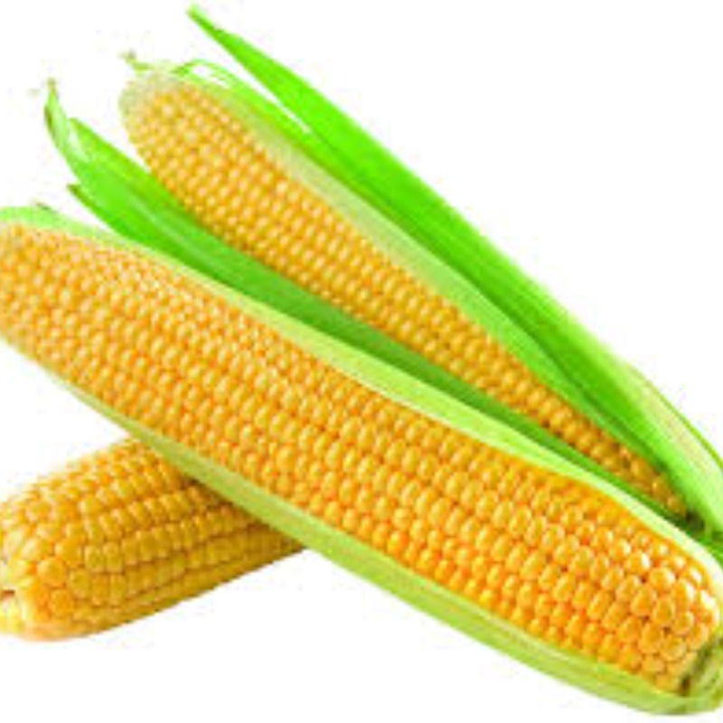 Thumb Image