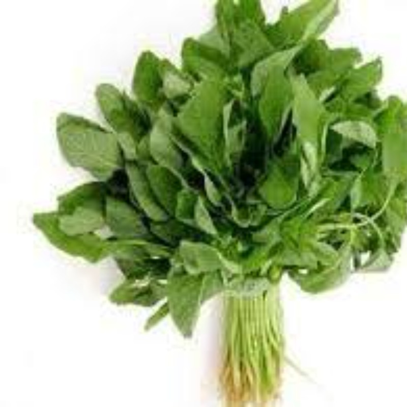 Thumb Image